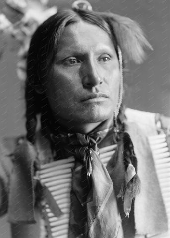 American Horse Indian 1900 8x10 Reprint Of Old Photo - Photoseeum