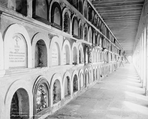 Catacomb Cemetery San Juan Vintage 8x10 Reprint Of Old Photo - Photoseeum