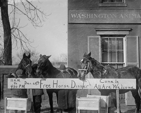 Free Horse Dinner All Welcome 1923 8x10 Reprint Of Old Photo - Photoseeum