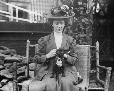 Women With Her Dog Boston Terrier Vintage 8x10 Reprint Of Old Photo - Photoseeum