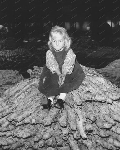 Beautful Young Girl Sitting On Tree Trunk Vintage 8x10 Reprint Of Old Photo - Photoseeum