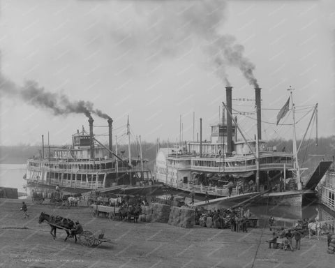 Mississippi Steamship Landing 1900s 8x10 Reprint Of Old Photo - Photoseeum
