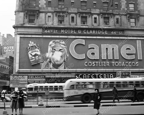 Camel Cigarettes Billboard Sign Reprint 8x10 Reprint Of Old Photo - Photoseeum