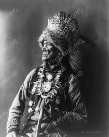 Chief Red Cloud 1901 Vintage 8x10 Reprint Of Old Photo - Photoseeum