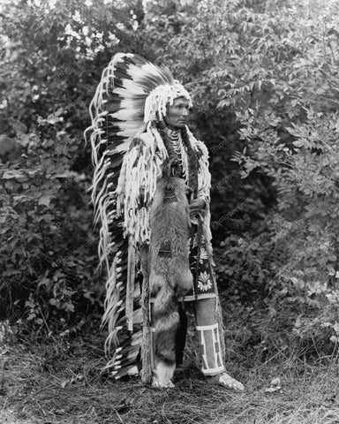 Chief Umapine An Indian 1900s Vintage 8x10 Reprint Of Old Photo - Photoseeum