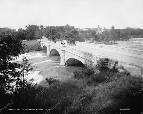 Luna Island Bridge Niagara 1905 Vintage 8x10 Reprint Of Old Photo - Photoseeum
