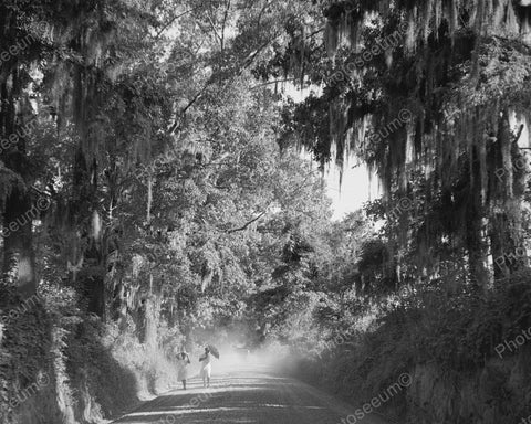 Country Road Dust From Car 1940 Vintage 8x10 Reprint Of Old Photo - Photoseeum