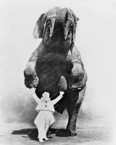 Huge Elephant Standing With Clown! 1930s 8x10 Reprint Of Old Photo - Photoseeum
