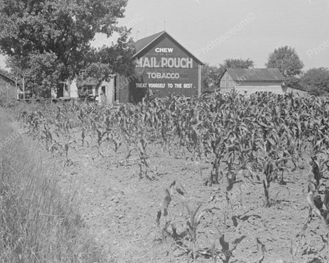 Barn Sign Chew Mail Pouch Tobacco1938 Vintage 8x10 Reprint Of Old Photo - Photoseeum