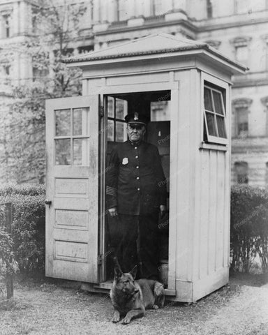White House Guard Dog 1929 Vintage 8x10 Reprint Of Old Photo - Photoseeum