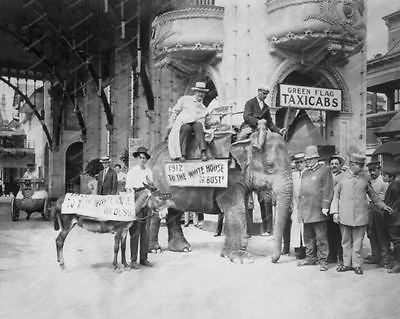Coney Island Donkey Elephant Rides 1912 Vintage 8x10 Reprint Of Old Photo - Photoseeum