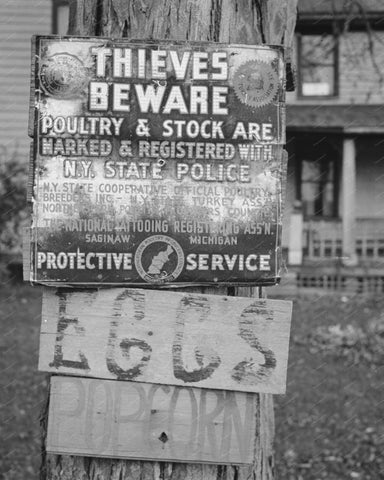 Thieves Beware Poultry Stock Sign Vintage 8x10 Reprint Of Old Photo - Photoseeum