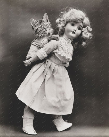Toy Doll Gives Piggy Back To Kitten 8x10 Reprint Of Old Photo - Photoseeum