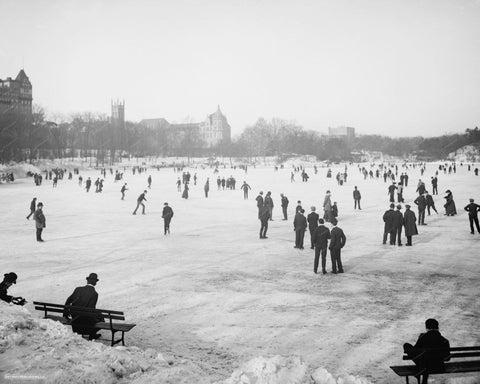 Ice Skating Central Park New York Vintage 8x10 Reprint Of Old Photo - Photoseeum