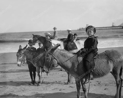 Young Sailor Boys Donkeys Atlantic City 1910 Vintage 8x10 Reprint Of Old Photo - Photoseeum