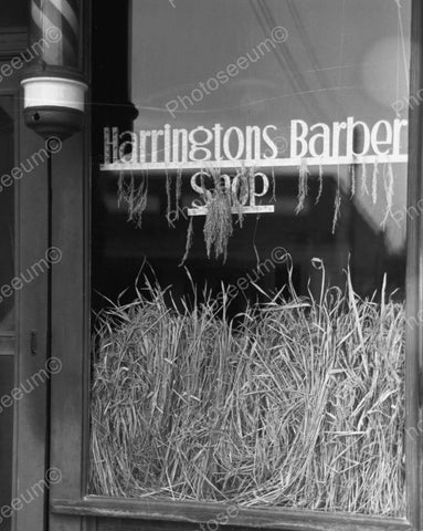 Harringtons Barber Shop Window Vintage 8x10 Reprint Of Old Photo - Photoseeum