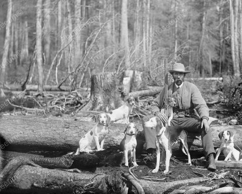 Hunter And His Dogs 1897 Vintage 8x10 Reprint Of Old Photo - Photoseeum
