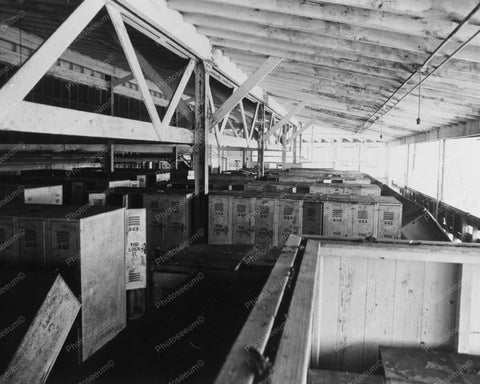 Glen Echo Interior Bath House &  Lockers 8x10 Reprint Of Old Photo - Photoseeum