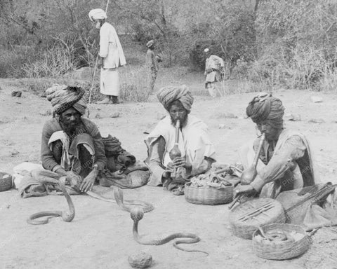 Snake Charmer With Deadly Snake Vintage 8x10 Reprint Of Old Photo - Photoseeum
