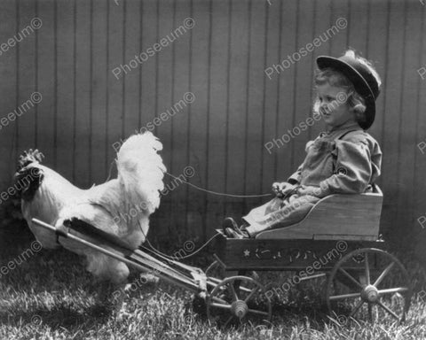 Rooster Pulls Adorable Toddler In Wagon  8x10 Reprint Of Old Photo - Photoseeum