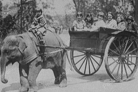 Young Boy Rides Elephant Pulling Wagon! 4x6 Reprint Of Old Photo - Photoseeum