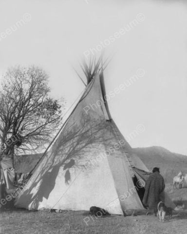 Indian Teepee Vintage Montana 1905 8x10 Reprint Of Old Photo - Photoseeum