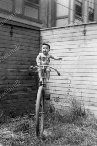 Little Baby Sits On Huge Antique Bicycle! 4x6 Reprint Of Old Photo - Photoseeum