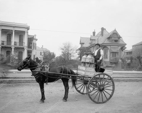 Milk Delivery Wagon 1910 Vintage 8x10 Reprint Of Old Photo - Photoseeum