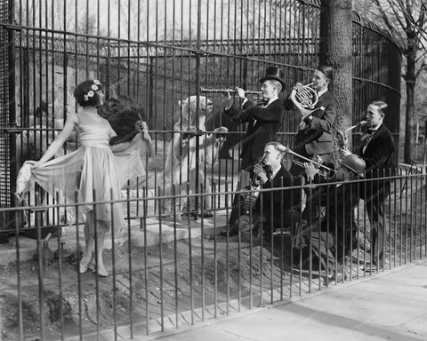Orchestra Plays To Polar Bear At  Zoo 1920s 8x10 Reprint Of Photo - Photoseeum