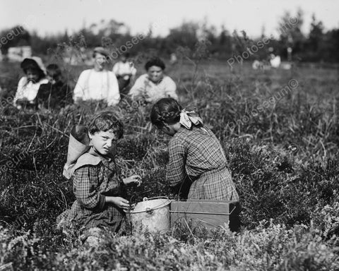 Berry Picker Girl Sports Sour Face 8x10 Reprint Of Old Photo - Photoseeum
