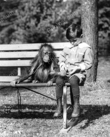 Monkey & Small Boy Chums On Park Bench 8x10 Reprint Of Old Photo - Photoseeum