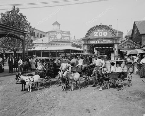 Goat Carriages Coney Island 1910 Vintage 8x10 Reprint Of Old Photo - Photoseeum
