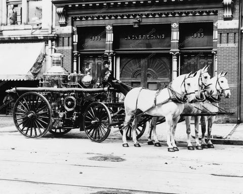 Stationary Fire Engine Drawn By 3 Horses 8x10 Reprint Of Old Photo - Photoseeum