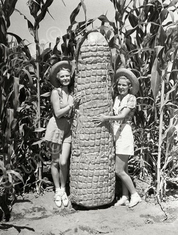 Huge Corn Cob Fair 1936 Vintage 8x10 Reprint Of Old Photo - Photoseeum