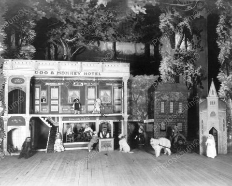 Dog & Monkey Hotel Scene! 1900s 8x10 Reprint Of Old Photo - Photoseeum