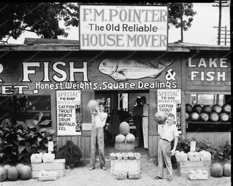 Roadside Fish &  Fruit Stand Alabama 8x10 Reprint Of Old Photo - Photoseeum
