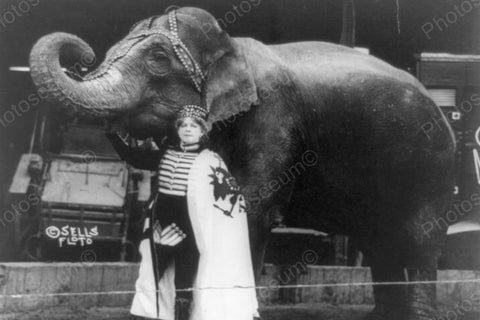 Circus Female Trainer with Elephant 1910s 4x6 Reprint Of Old Photo - Photoseeum