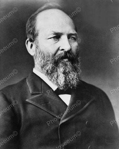 President James A Garfield 1880 Vintage 8x10 Reprint Of Old Photo - Photoseeum