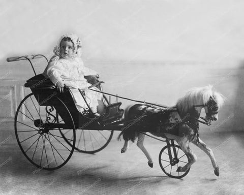 Baby In Antique Toy Horse  Baby Carriage 8x10 Reprint Of Old Photo - Photoseeum