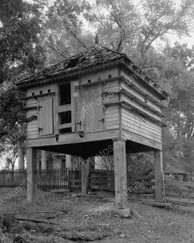 House On Stilts 1939 Vintage 8x10 Reprint Of Old Photo - Photoseeum