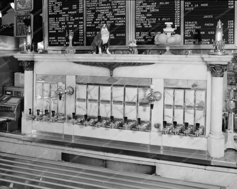 Soda Fountain Close Up Menu With Prices 8x10 Reprint Of Old Photo - Photoseeum