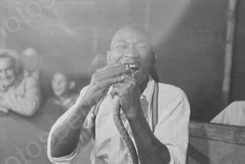 Louisiana Snake Eater 2 of 3  4x6 Reprint Of 1930s Old Photo - Photoseeum