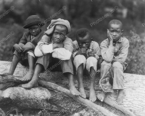 Black Young Boys Outdoor Portrait  8x10 Reprint Of Old Photo - Photoseeum