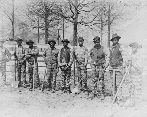 Group Of Prisoners Doing Yard Work 1890 Vintage 8x10 Reprint Of Old Photo - Photoseeum