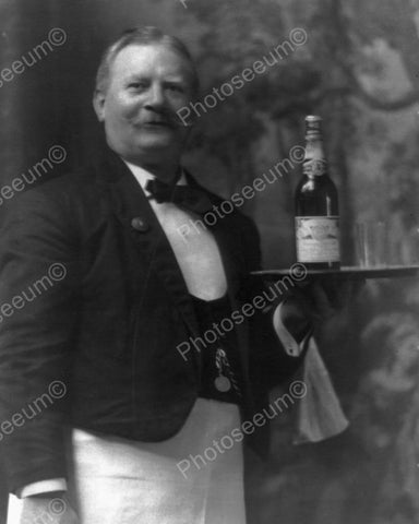 Waiter Bottle of Budweiser Beer Vintage 8x10 Reprint Of Old Photo - Photoseeum