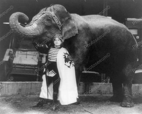Elephant Circus Act 1916 Vintage 8x10 Reprint Of Old Photo - Photoseeum