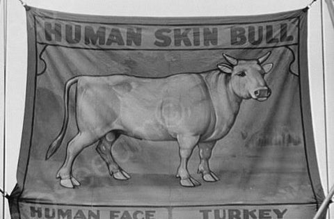 Vermont Sideshow Human Skin Bull 1940s 4x6 Reprint Of Old Photo - Photoseeum