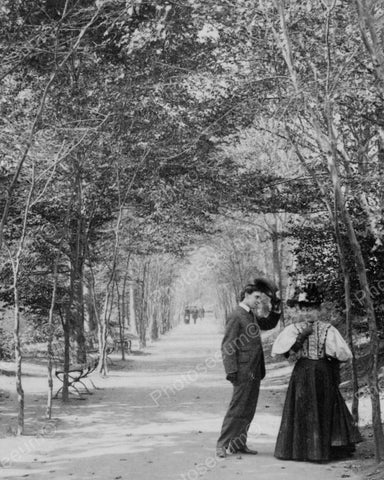 Lovers Lane Central Park New York Vintage 8x10 Reprint Of Old Photo - Photoseeum