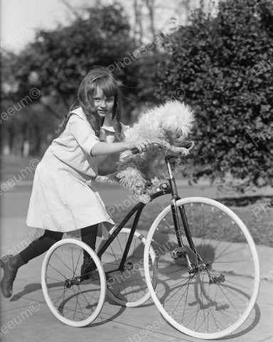 Girl With Dog On Tricycle 1917 Vintage 8x10 Reprint Of Old Photo 2 - Photoseeum