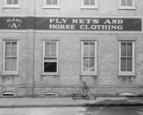 Fly Nets And Horse Clothing Store 1940 Vintage 8x10 Reprint Of Old Photo - Photoseeum